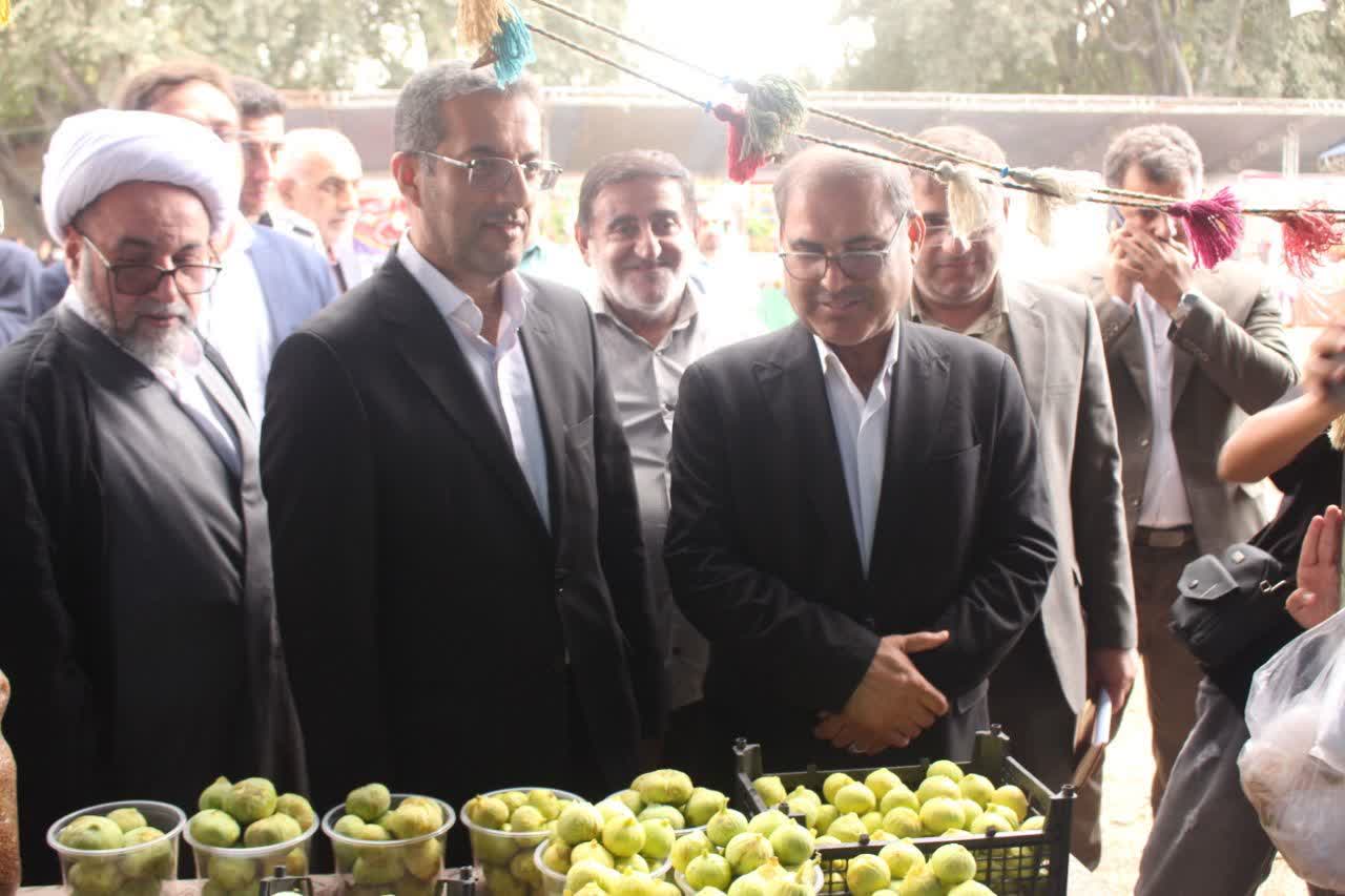تصویر شاخص